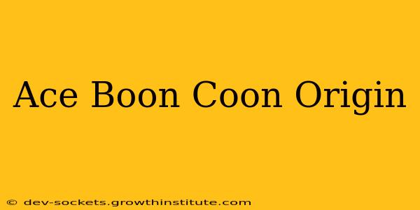 Ace Boon Coon Origin