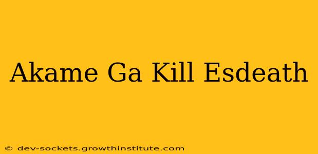 Akame Ga Kill Esdeath