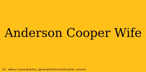 Anderson Cooper Wife