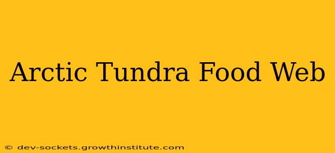 Arctic Tundra Food Web