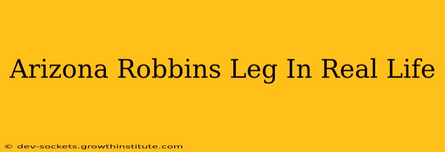 Arizona Robbins Leg In Real Life
