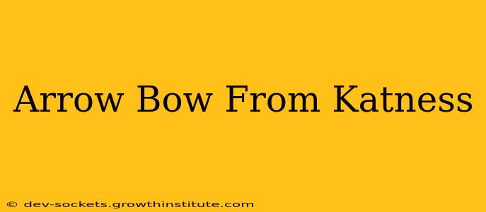 Arrow Bow From Katness