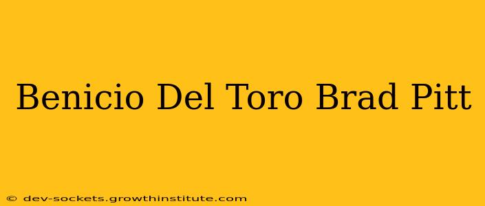 Benicio Del Toro Brad Pitt