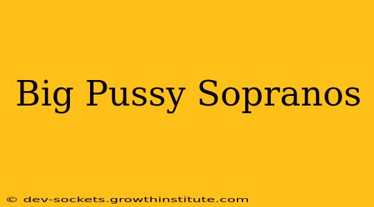 Big Pussy Sopranos