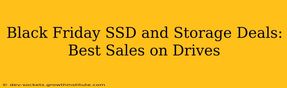 Black Friday SSD and Storage Deals: Best Sales on Drives