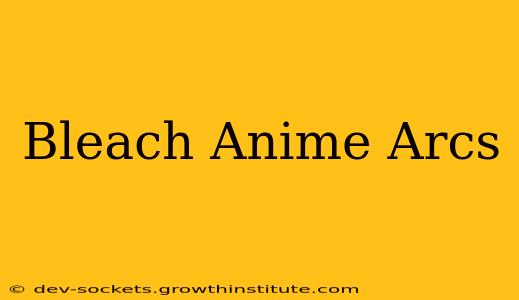 Bleach Anime Arcs