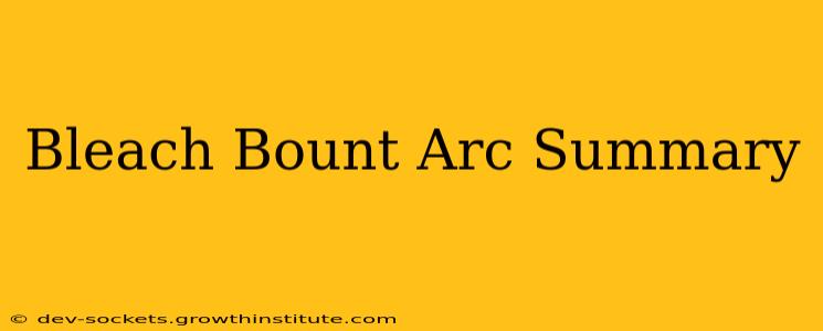 Bleach Bount Arc Summary