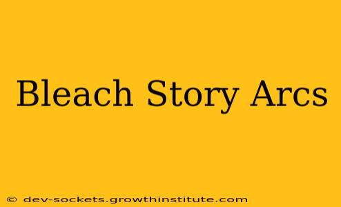 Bleach Story Arcs