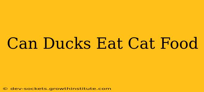 Can Ducks Eat Cat Food