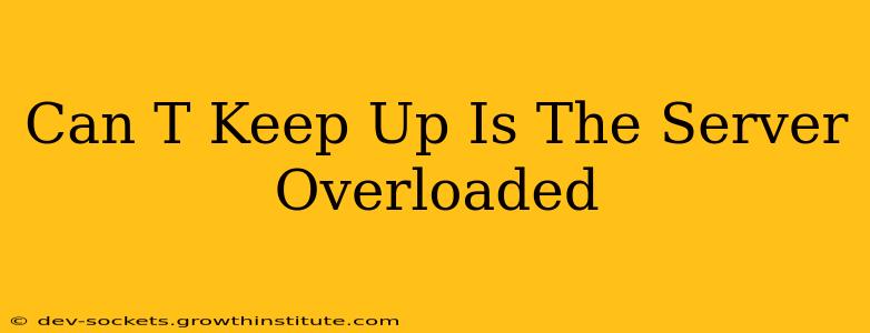 Can T Keep Up Is The Server Overloaded