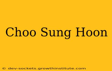 Choo Sung Hoon