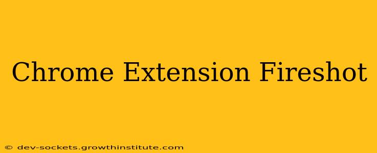 Chrome Extension Fireshot