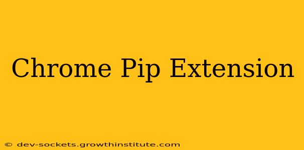 Chrome Pip Extension