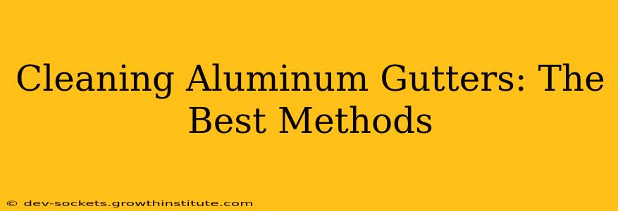 Cleaning Aluminum Gutters: The Best Methods