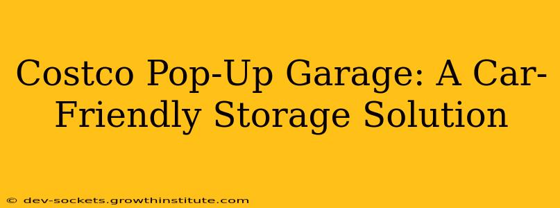 Costco Pop-Up Garage: A Car-Friendly Storage Solution
