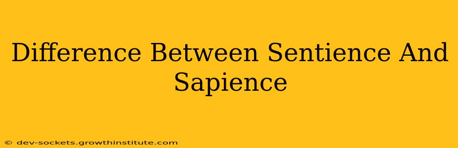 Difference Between Sentience And Sapience