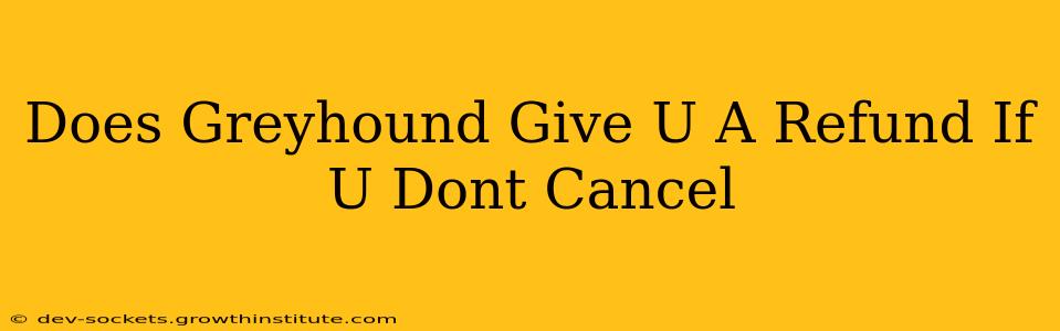 Does Greyhound Give U A Refund If U Dont Cancel
