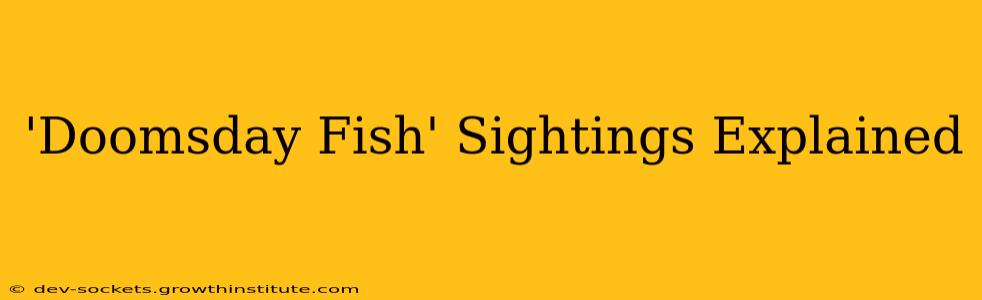 'Doomsday Fish' Sightings Explained