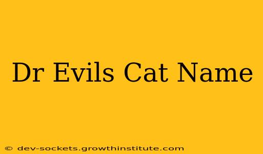 Dr Evils Cat Name