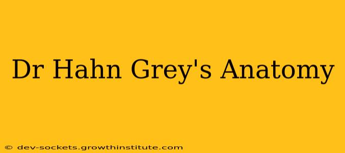 Dr Hahn Grey's Anatomy