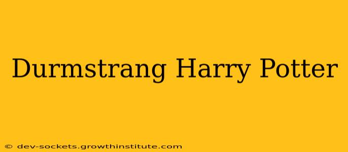 Durmstrang Harry Potter