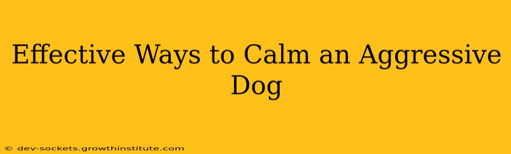 Effective Ways to Calm an Aggressive Dog