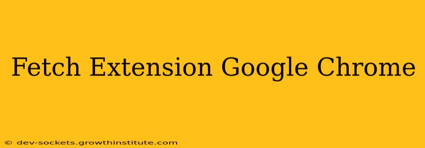 Fetch Extension Google Chrome