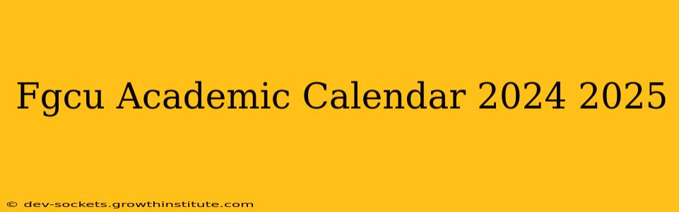 Fgcu Academic Calendar 2024 2025