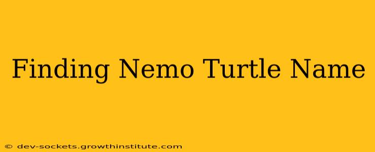 Finding Nemo Turtle Name