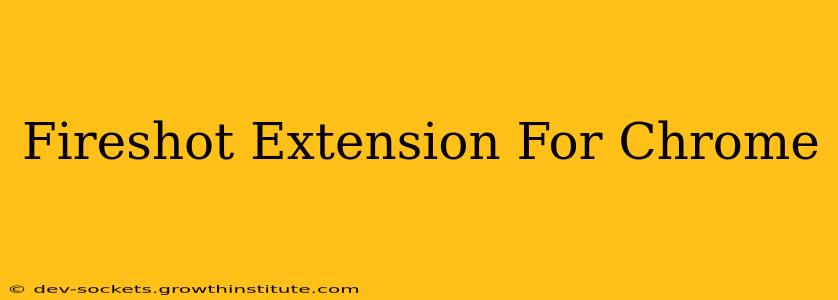 Fireshot Extension For Chrome