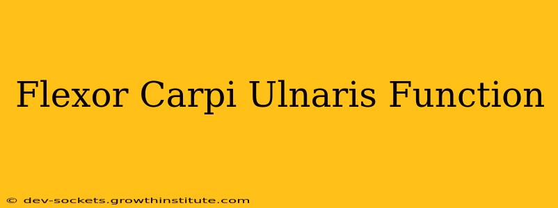 Flexor Carpi Ulnaris Function
