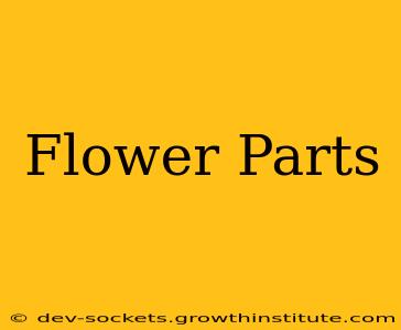 Flower Parts