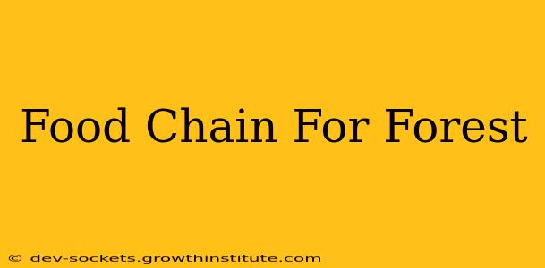 Food Chain For Forest