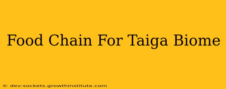 Food Chain For Taiga Biome