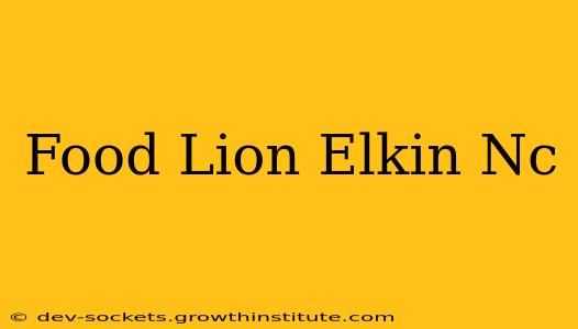 Food Lion Elkin Nc
