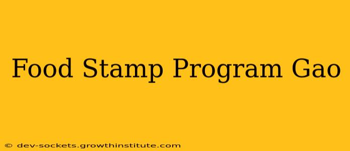 Food Stamp Program Gao