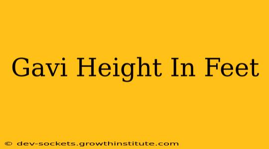 Gavi Height In Feet
