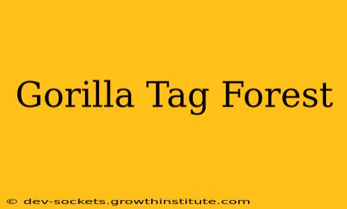 Gorilla Tag Forest