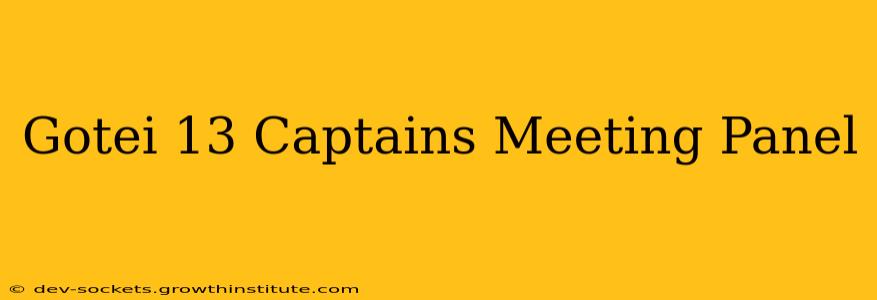 Gotei 13 Captains Meeting Panel