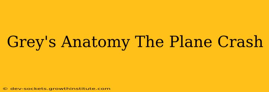 Grey's Anatomy The Plane Crash