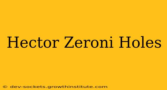 Hector Zeroni Holes