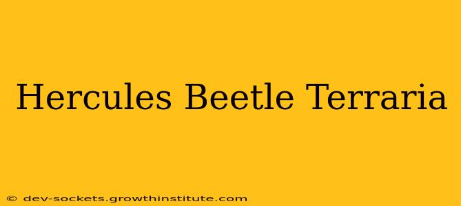 Hercules Beetle Terraria