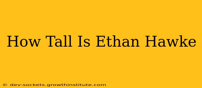How Tall Is Ethan Hawke