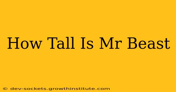 How Tall Is Mr Beast
