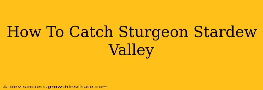 How To Catch Sturgeon Stardew Valley