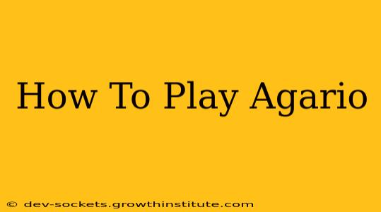 How To Play Agario