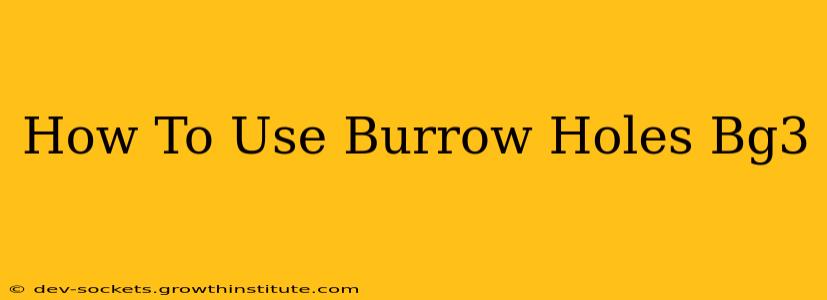 How To Use Burrow Holes Bg3