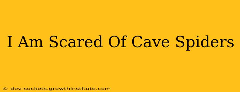 I Am Scared Of Cave Spiders