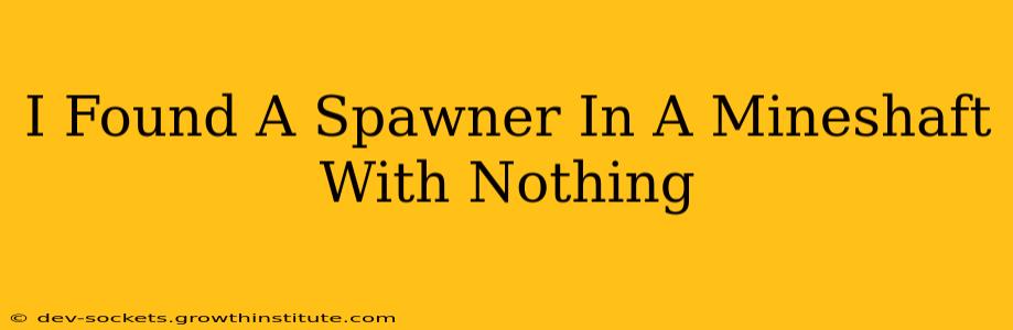 I Found A Spawner In A Mineshaft With Nothing