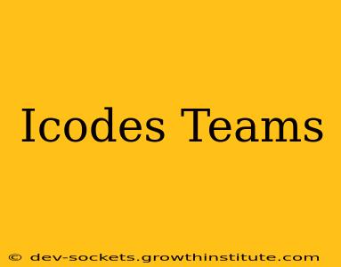 Icodes Teams